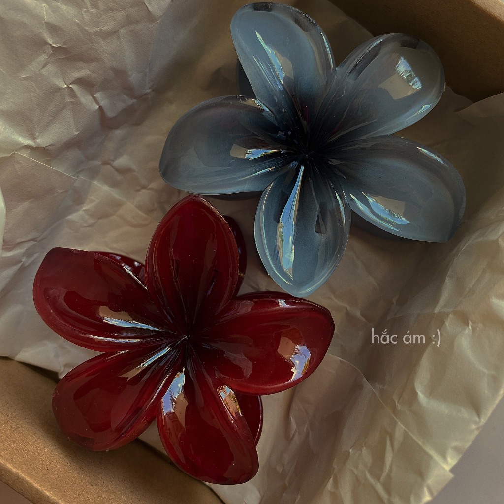 Hộp #37