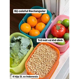 Hộp bảo quản thực phẩm Tupperware Colorful 1.9L hàng Tupperware