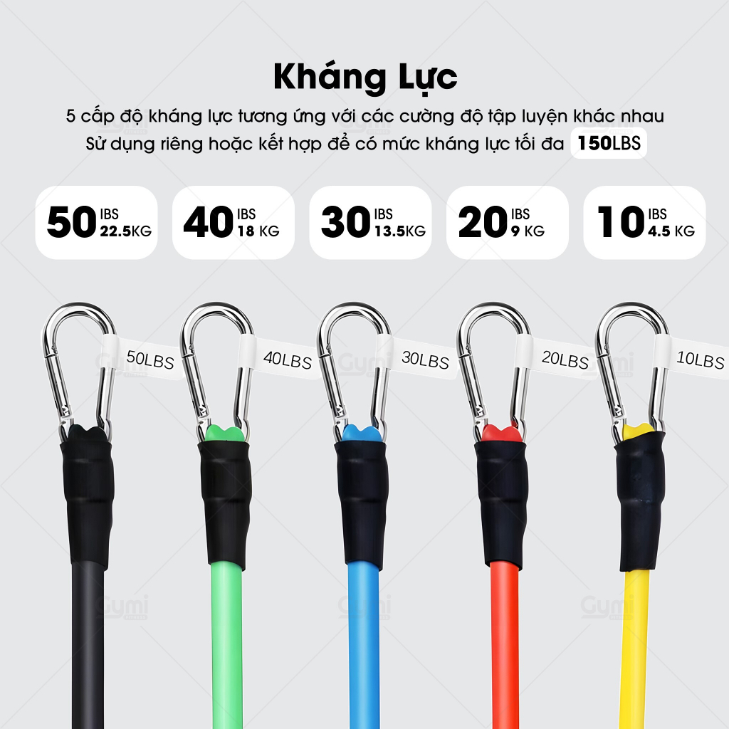 [150LBS - 11 Phụ Kiện] Bộ 5 Dây Ngũ Sắc Kháng Lực Nặng Đô Tập Thể Hình Toàn Thân Kèm Neo Cửa, Đá Đùi - NguSac150LBS