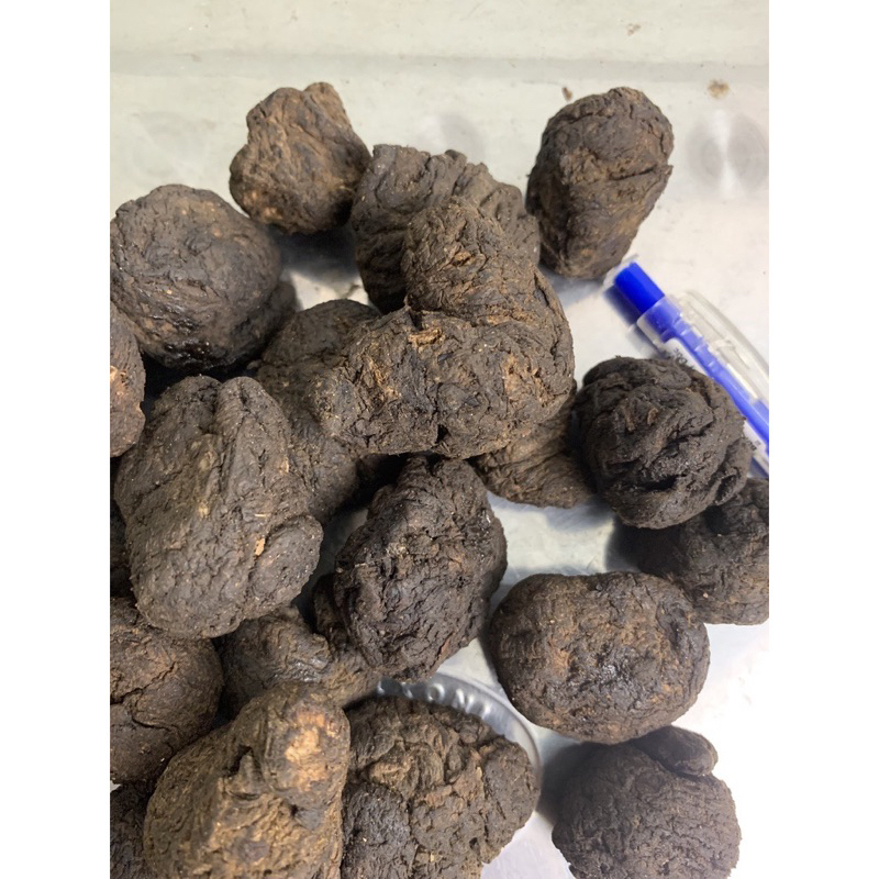 500GR Củ Sinh Địa (Củ Sanh Địa) To, Khô Sạch Sấy Khô Bổ Máu Giải Độc, Hỗ Trợ Tim Mạch