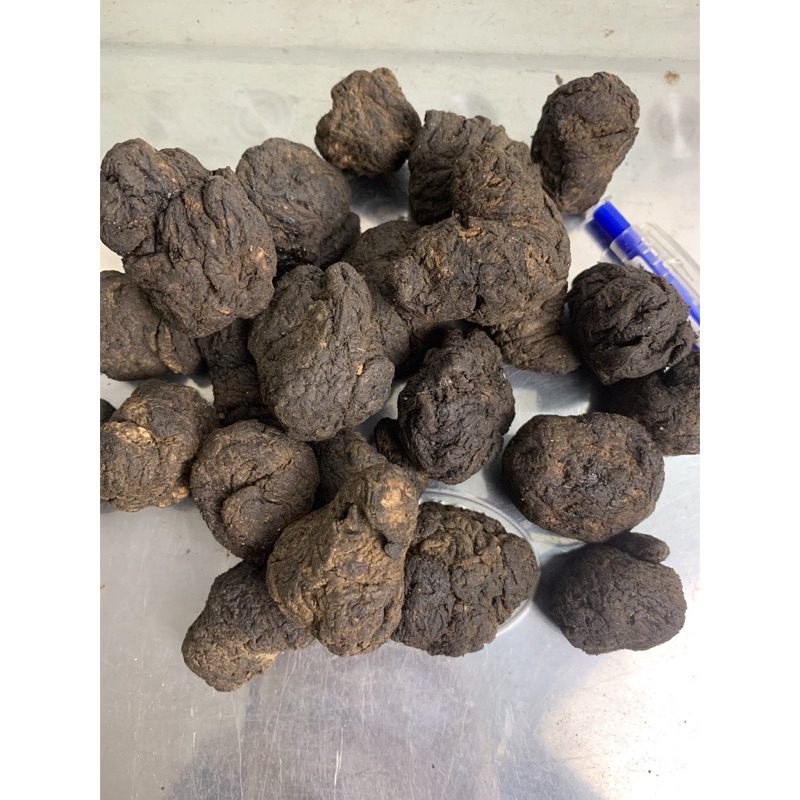 500GR Củ Sinh Địa (Củ Sanh Địa) To, Khô Sạch Sấy Khô Bổ Máu Giải Độc, Hỗ Trợ Tim Mạch
