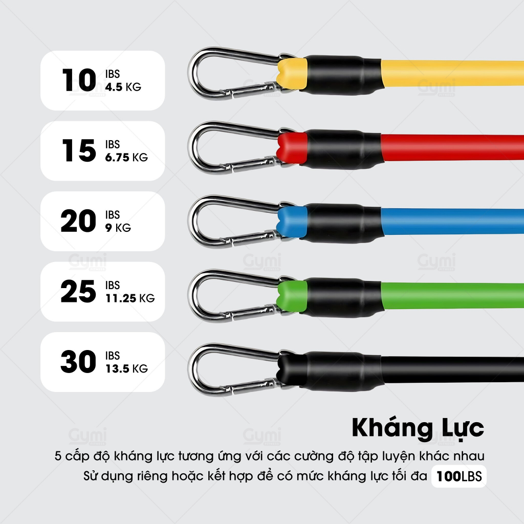 [100LBS - 11 Phụ Kiện] Bộ 5 Dây Ngũ Sắc Tập Full Body - Dụng Cụ Tập Gym Kháng Lực - NguSac100LBS