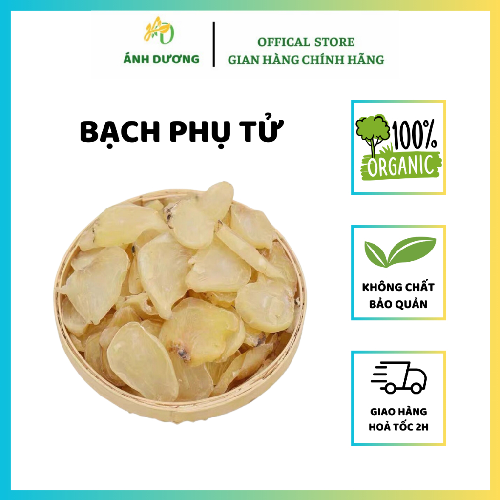 Bạch Phụ Tử ( Khô, Đẹp ) Hàng Loại 1