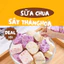 Sữa chua sấy thăng hoa vị hoa quả không chất bảo quản túi 100g 250g tiện lợi