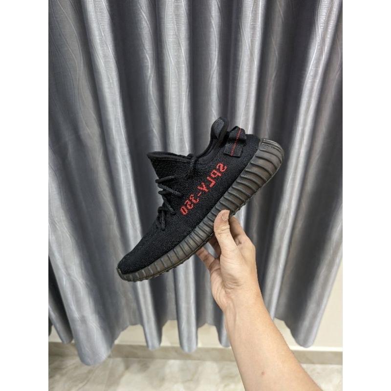 Yezzy yearling 350 bred