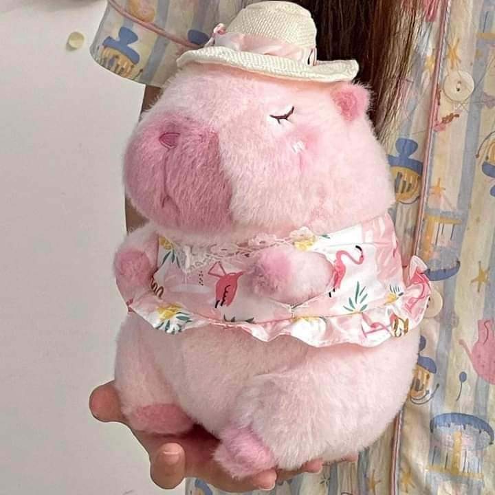 Capybara Phao VỊt Đi Biển Hoạ Tiết Má Hồng Đáng Yêu Gấu Bông Capybara Trang Phục Tắm Biển