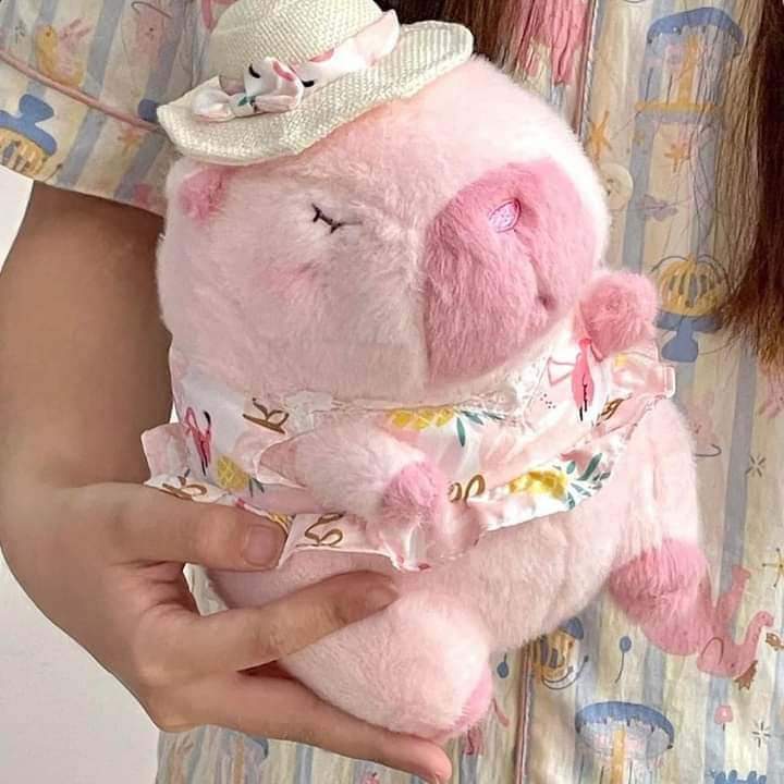 Capybara Phao Vịt Capybara Đi Biển Cao Cấp Capybara Mùa Hè Sôi Động Cực Hot Đầy Đủ Mẫu và Kích Thước