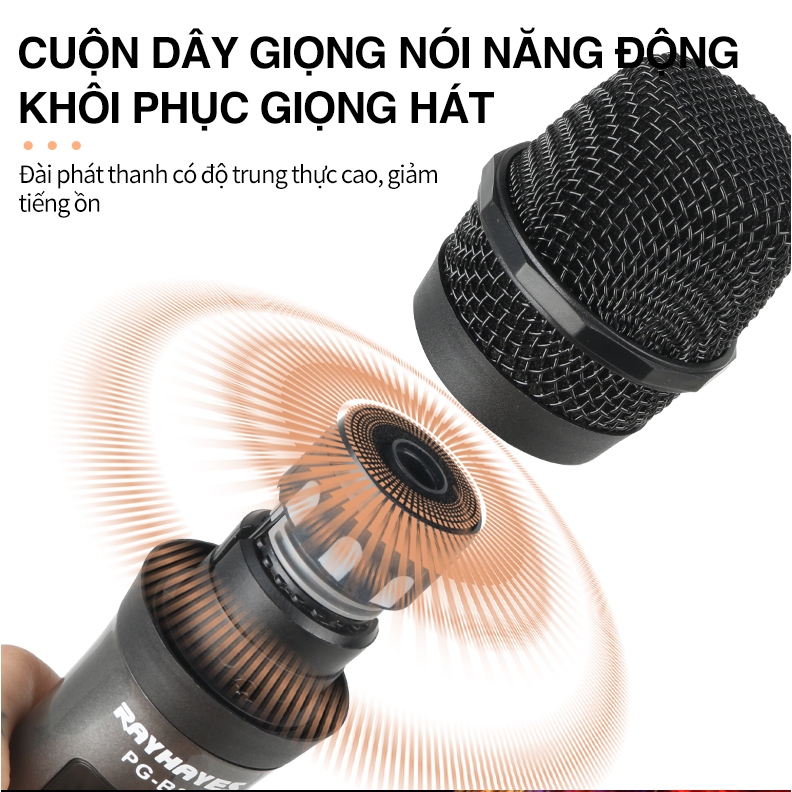 Product image RAYHAYES Micrô không dây chuyên nghiệp nguyên bản Nhà thờ Karaoke đa năng tại nhà 2