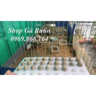 5kg Cám gà Rutin con De Heus 7780 dạng bột cho Gà Rutin con mới nở và chim cút con, hậu bị.