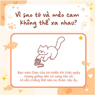 Sách Tô Màu- Tớ Có Nuôi Một Chú Mèo Cam Với 30 Chủ Đề Phong Phú Đa Dạng Dành Cho Cả Nguời Lớn Và Trẻ Em