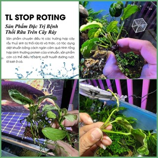 TL Stop Roting - Điều Trị Thối Nhũn Cây Thủy Sinh