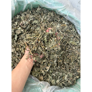 Cỏ Xước Khô 1KG –Hỗ Trợ Xương Khớp, Tiểu Tiện, Thanh Nhiệt, Dược Liệu Sạch