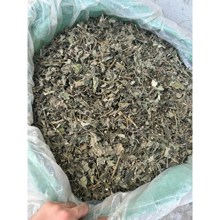 Cỏ Xước Khô 1KG –Hỗ Trợ Xương Khớp, Tiểu Tiện, Thanh Nhiệt, Dược Liệu Sạch