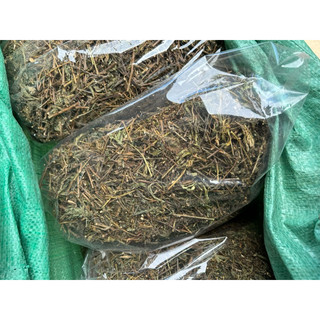 1kg xấu hổ, cây mắc cỡ [ phơi khô sạch, mới ] LOẠI 1
