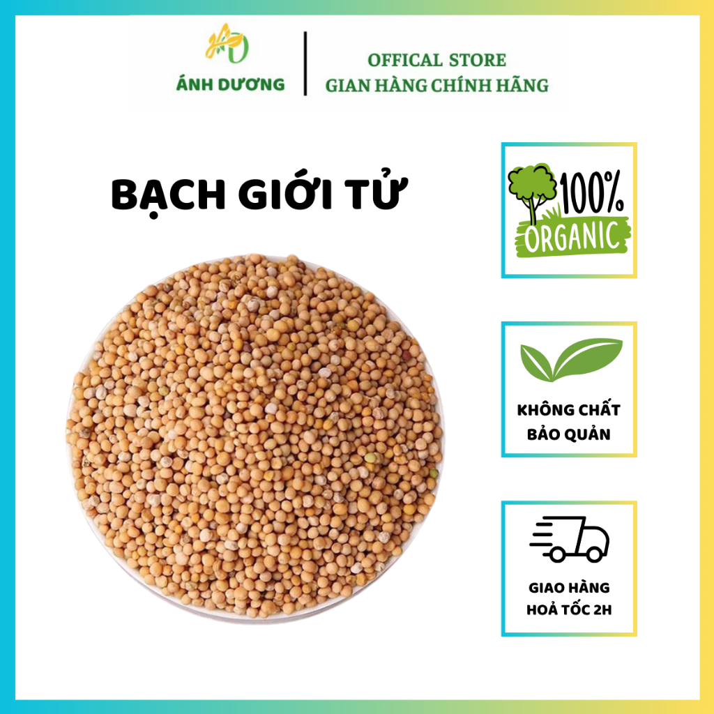Bạch Giới Tử ( Hạt Cải Trắng ) Sạch, Đẹp Hàng Loại 1
