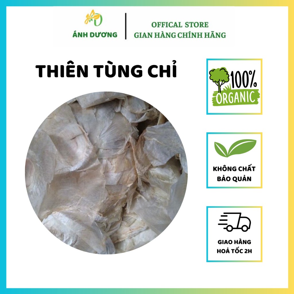 Thiên Tùng Chỉ, Thiên Tòng Chỉ, Mộc Hồ Điệp Hàng Loại 1