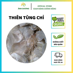 Thiên Tùng Chỉ, Thiên Tòng Chỉ, Mộc Hồ Điệp Hàng Loại 1
