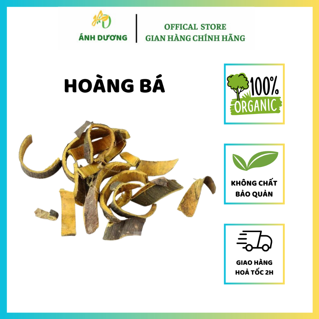 Hoàng Bá Bắc ( Khô, Sạch, Đẹp ) Hàng Loại 1
