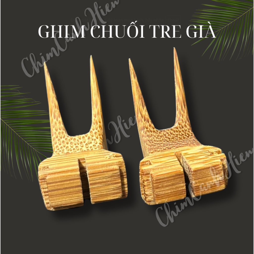 Ghim Chuối Chào Mào Tre Già Tai Chẻ - Ghim Trái Cây Chào Mào Nan Khít 1 ...