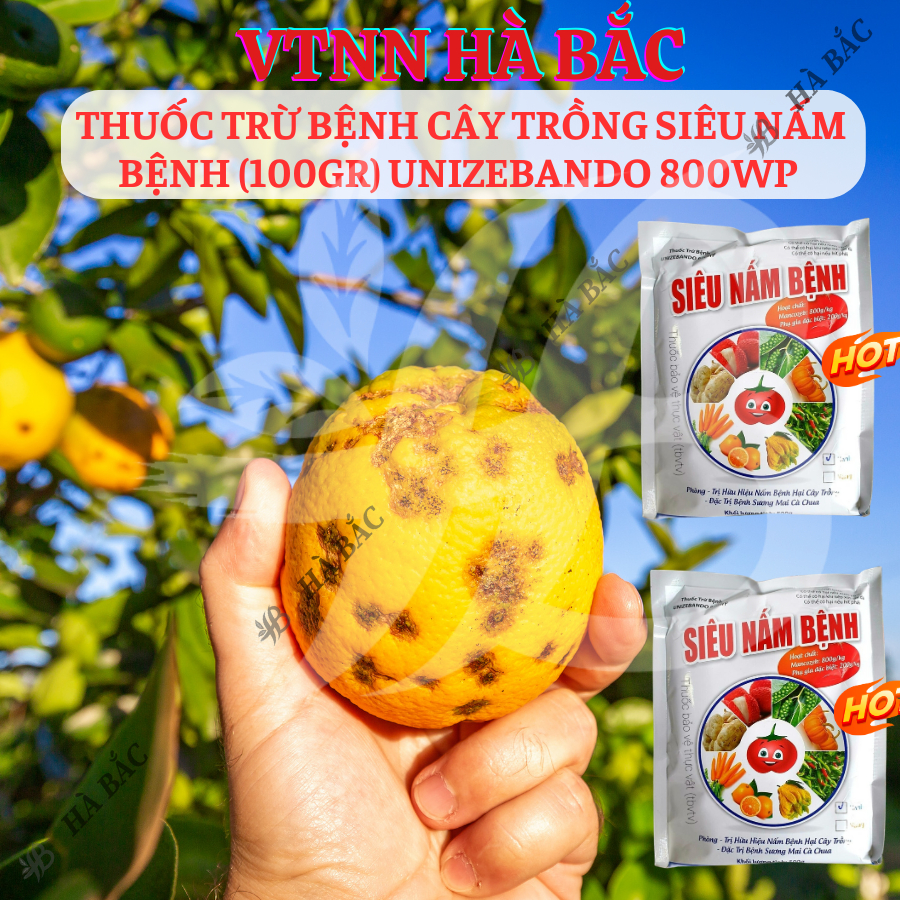 Chế Phẩm Xử Lí Benhh Cây Trồng Siêu Nam Benhh (100gram) Unizebando 800WP
