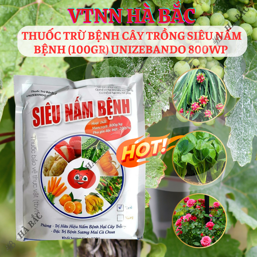 Chế Phẩm Xử Lí Benhh Cây Trồng Siêu Nam Benhh (100gram) Unizebando 800WP