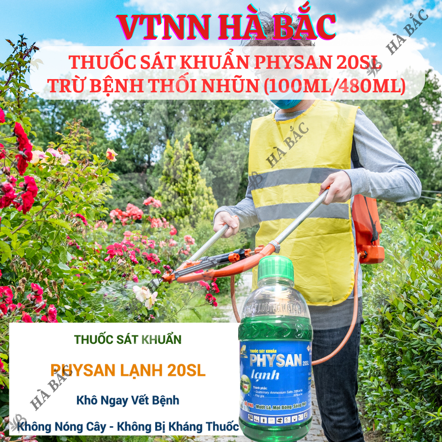 Chế phẩm sát khuẩn Physan 20SL, Xử lí thối nhũn – Chai 100ml/480ML