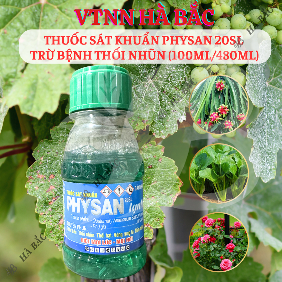 Chế phẩm sát khuẩn Physan 20SL, Xử lí thối nhũn – Chai 100ml/480ML