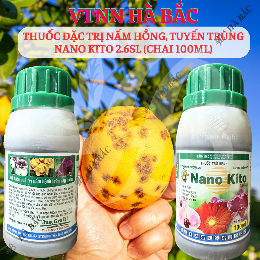 Chế phẩm xử lí nấm hồng, tuyến trùng NANO KITO 2.6SL (chai 100ml)