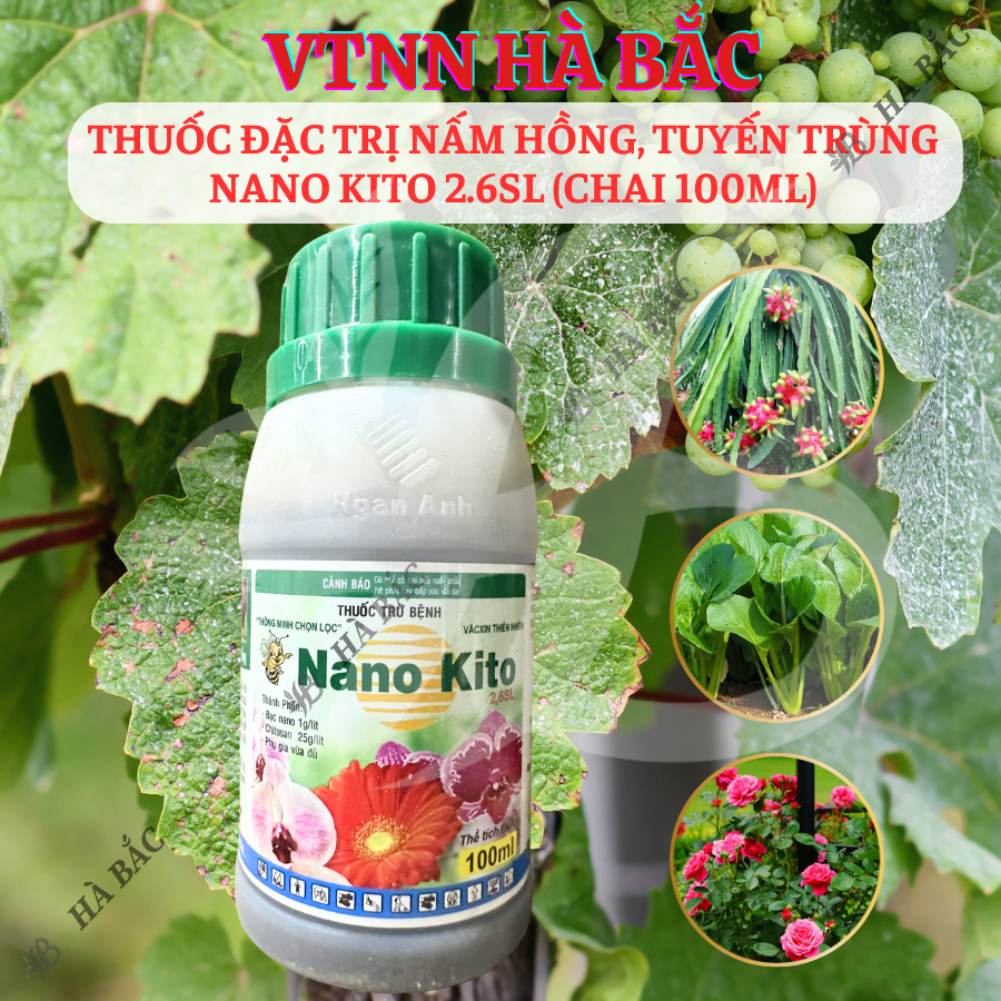 Chế phẩm xử lí nấm hồng, tuyến trùng NANO KITO 2.6SL (chai 100ml)
