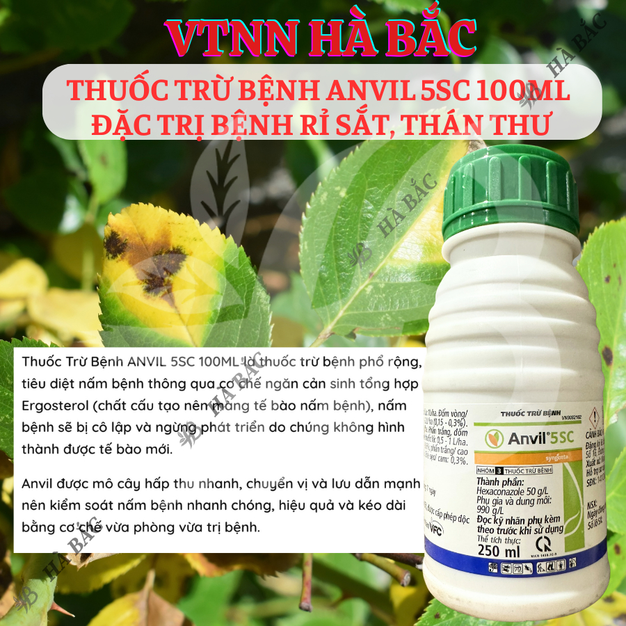 Chế Phẩm Xử Lí Nam Benhh Anvil 5SC 100ml, 250ml, 1 Lít  - Xử Lí Rỉ Sắt, Thán Thư