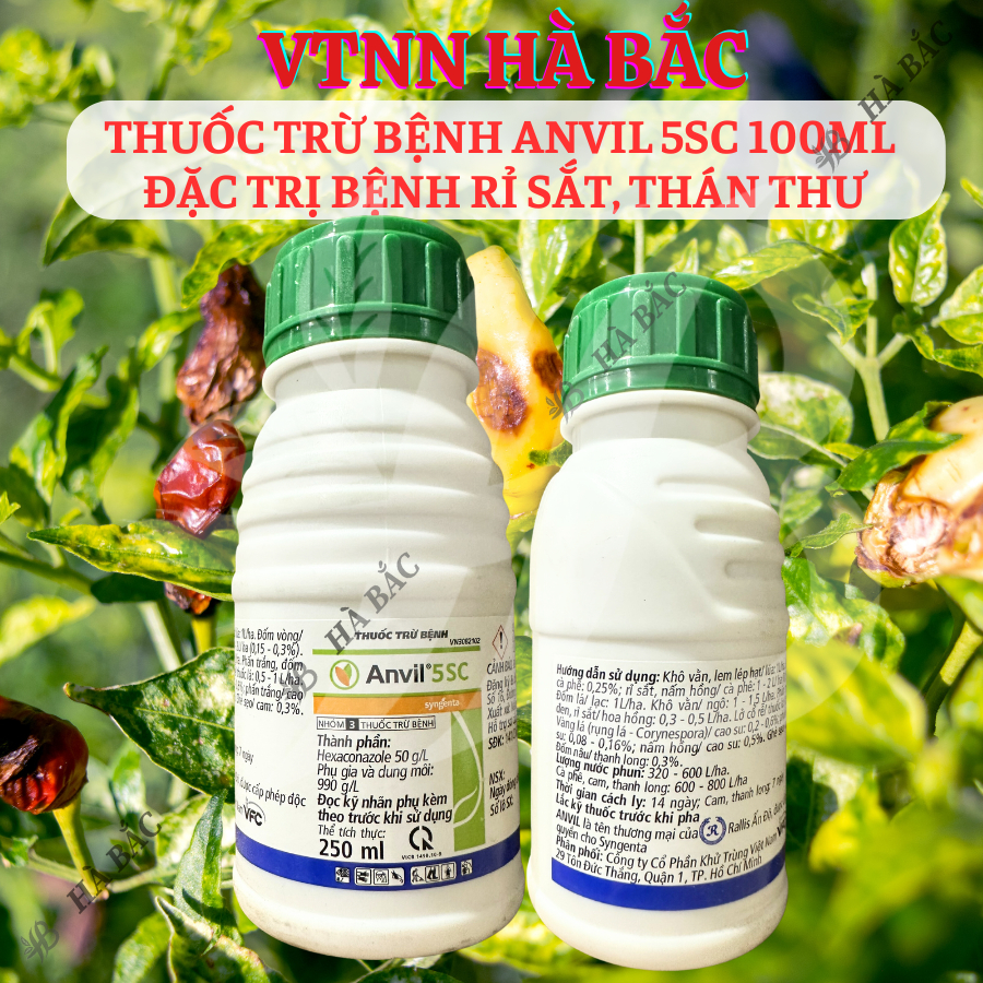 Chế Phẩm Xử Lí Nam Benhh Anvil 5SC 100ml, 250ml, 1 Lít  - Xử Lí Rỉ Sắt, Thán Thư