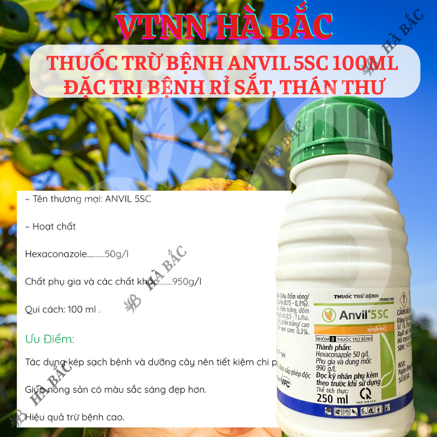 Chế Phẩm Xử Lí Nam Benhh Anvil 5SC 100ml, 250ml, 1 Lít  - Xử Lí Rỉ Sắt, Thán Thư
