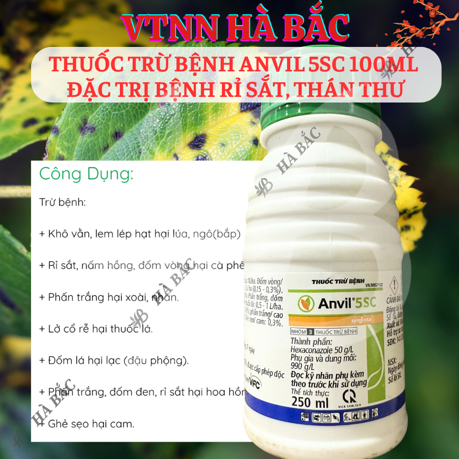 Chế Phẩm Xử Lí Nam Benhh Anvil 5SC 100ml, 250ml, 1 Lít  - Xử Lí Rỉ Sắt, Thán Thư