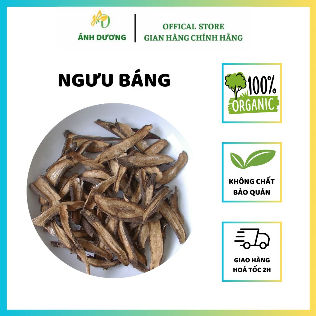 Ngưu Báng Phiến ( Khô, Sạch, Đẹp ) Hàng Loại 1