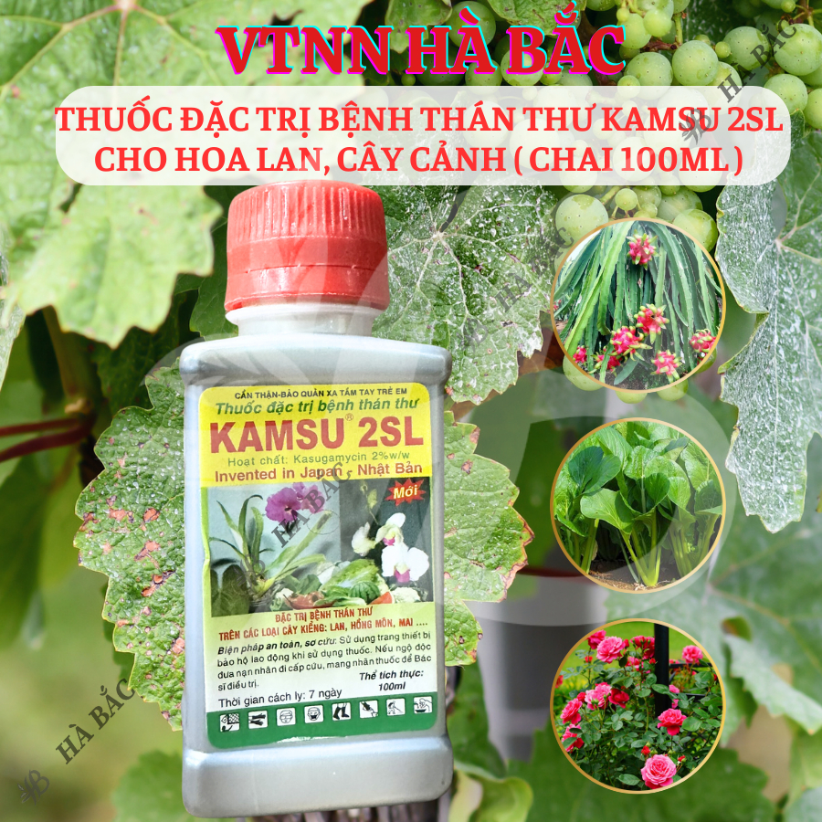 Chế phẩm xử lí Thán Thư KAMSU 2SL Cho Hoa Lan, Cây Cảnh (chai 100ml)