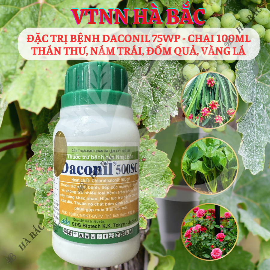 Chế Phẩm Xử Lí Benh Daconil 75WP Thán Thư, Nám Trái, Đốm Quả, Vàng Lá - chai 100ml
