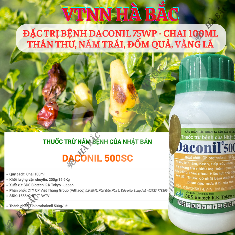 Chế Phẩm Xử Lí Benh Daconil 75WP Thán Thư, Nám Trái, Đốm Quả, Vàng Lá - chai 100ml