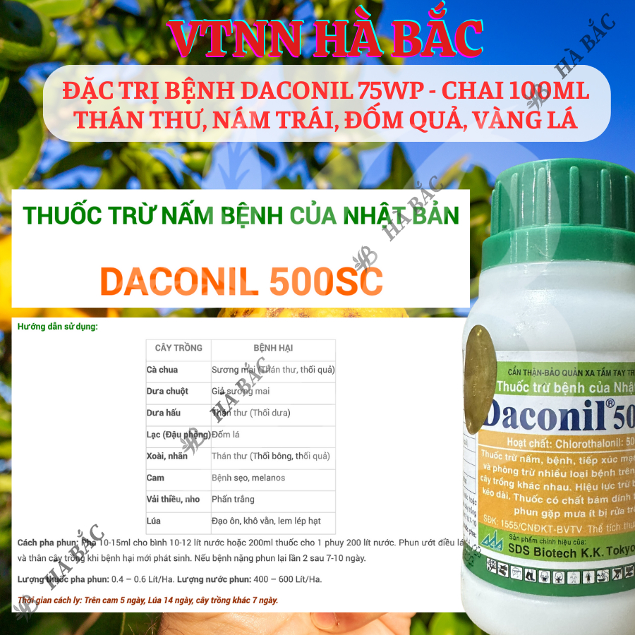 Chế Phẩm Xử Lí Benh Daconil 75WP Thán Thư, Nám Trái, Đốm Quả, Vàng Lá - chai 100ml