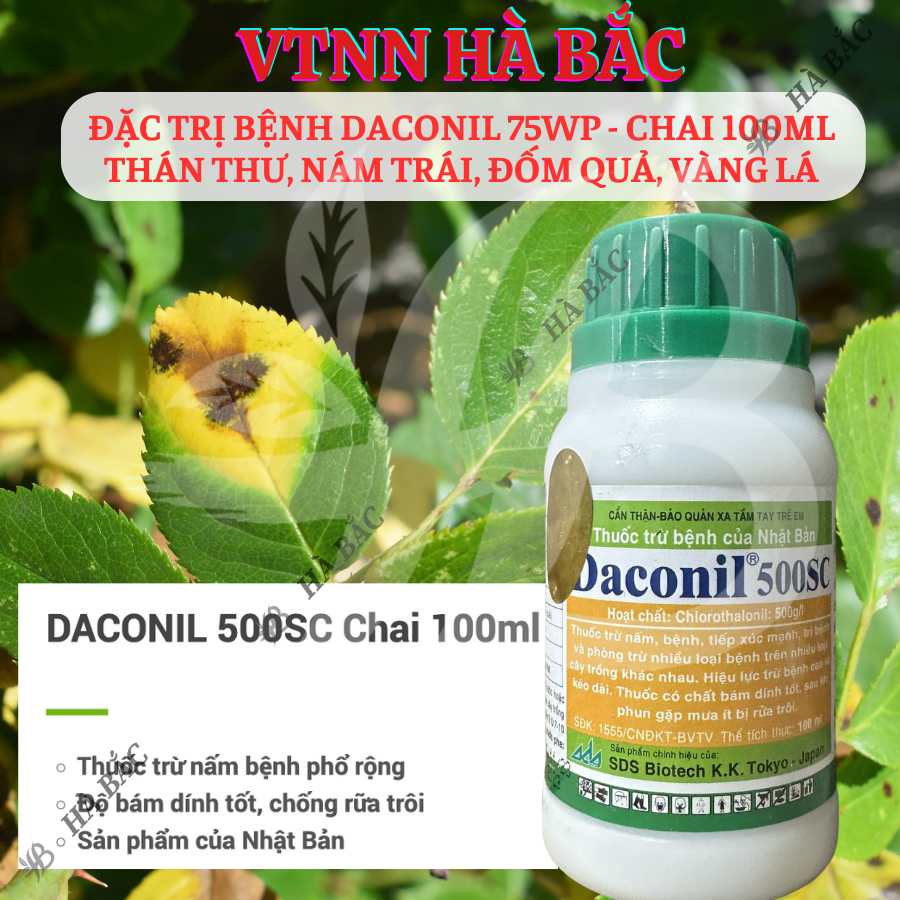 Chế Phẩm Xử Lí Benh Daconil 75WP Thán Thư, Nám Trái, Đốm Quả, Vàng Lá - chai 100ml
