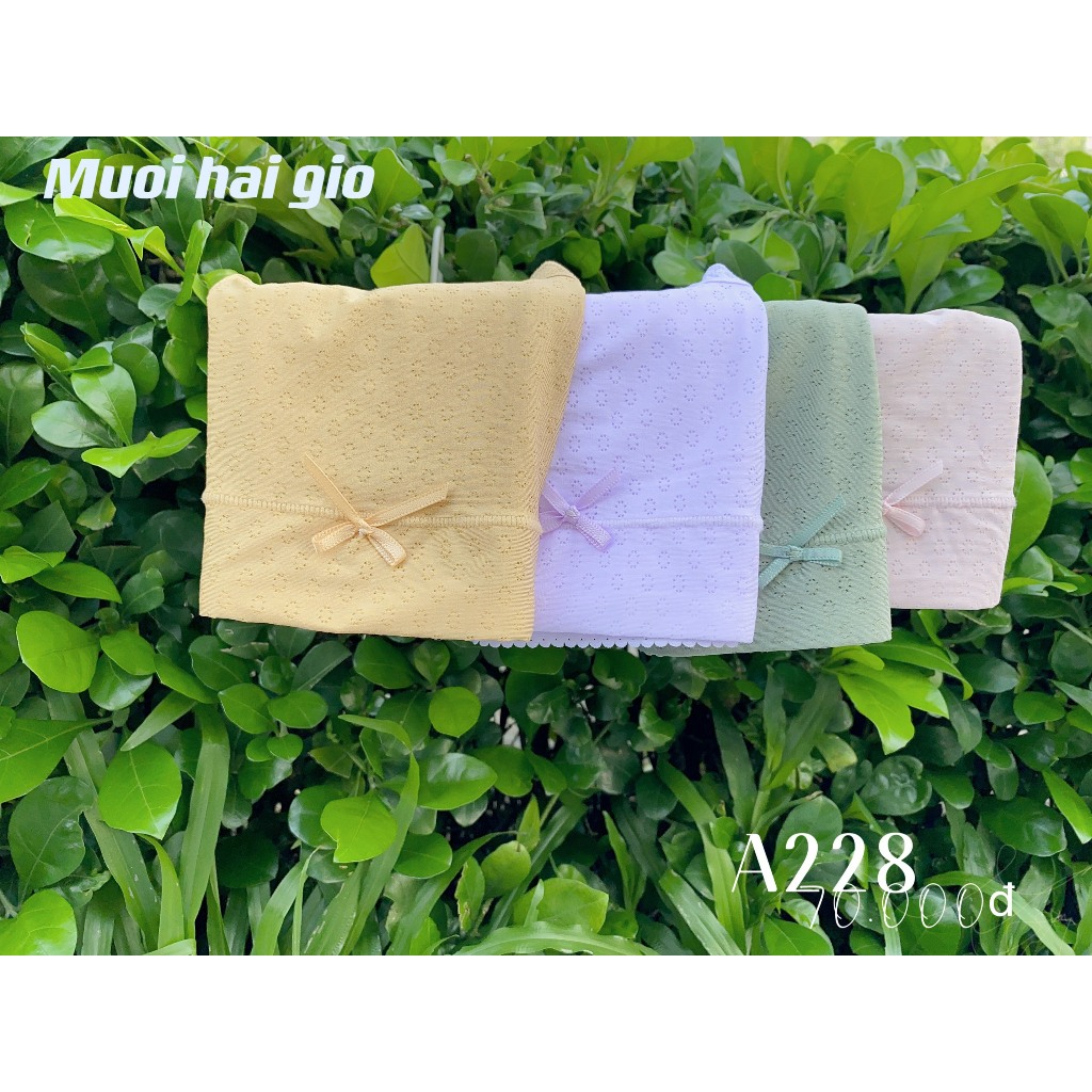 Quần sịp nữ cao cấp thun lạnh viền ren, cạp vừa, lót 2 lớp kháng khuẩn A228 | THỜI TRANG 12H