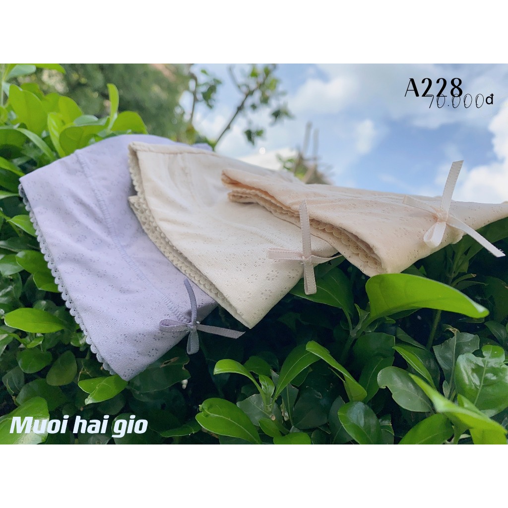 Quần sịp nữ cao cấp thun lạnh viền ren, cạp vừa, lót 2 lớp kháng khuẩn A228 | THỜI TRANG 12H
