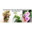 dầu neem chitosan 150ml
