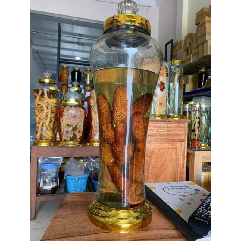 Nấm Tích Dương Rừng Tây Bắc 1kg | Búp To Đẹp Lên Bình Sang Thơm Sạch Tặng Táo Đỏ Kỷ Tử