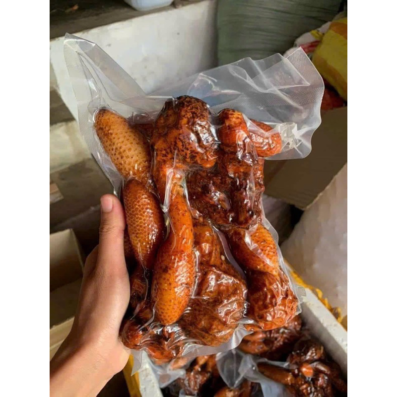 Nấm Tích Dương Rừng Tây Bắc 1kg | Búp To Đẹp Lên Bình Sang Thơm Sạch Tặng Táo Đỏ Kỷ Tử