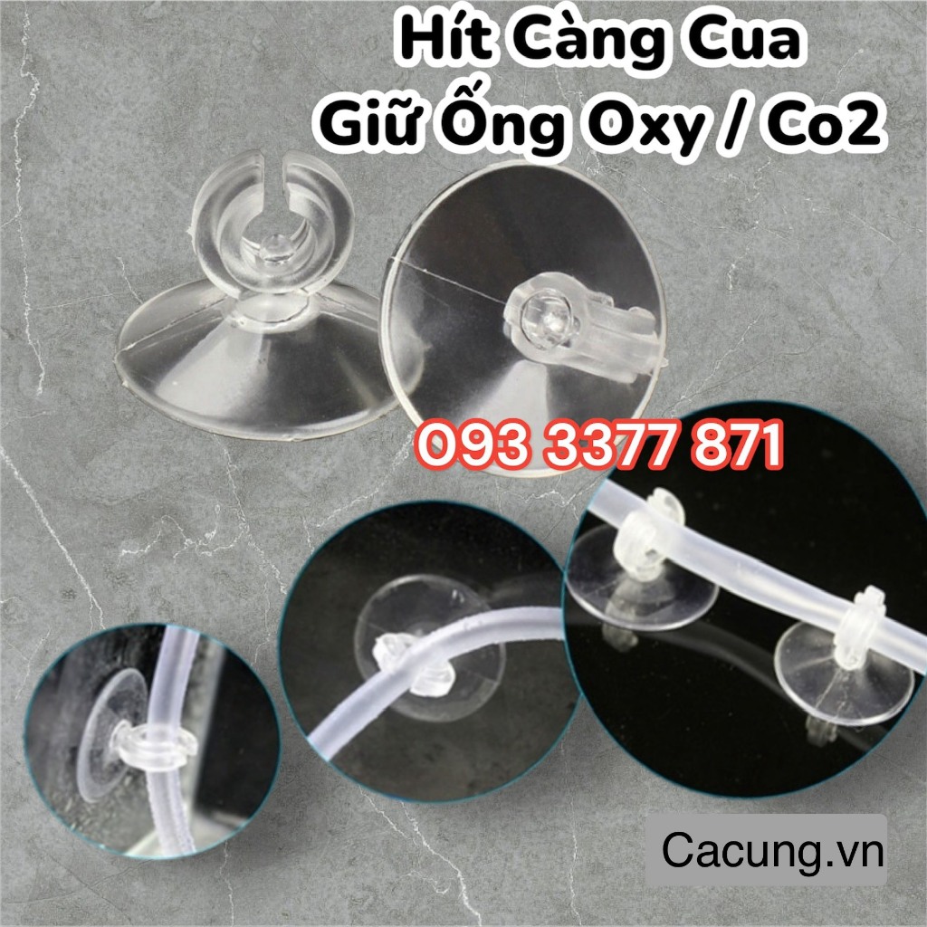 Nút Hít Giữ Ống Oxy, CO2 | KẸP CÀNG CUA Giữ Cốc Sủi CO2, Oxy hồ cá ...