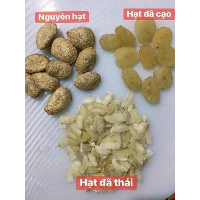 Hạt sang, hạt sành thái lát rất tốt cho người bị dạ dày (1 liệu trình dùng 30 ngày)