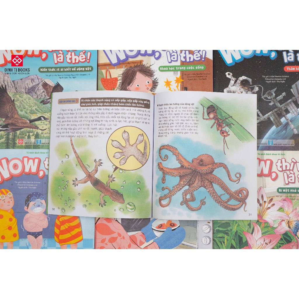 Ảnh Sách - Wow, thì ra là thế - Khám phá khoa học cho trẻ từ 6 - 12 tuổi - Đinh Tị Books 3