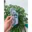Nhiệt kế hồng ngoại TOTAL WADFOW THIT0155028, WNT6501, WNT2501 MM2