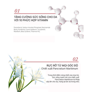Tinh Chất Dưỡng Chống Lão Hóa, Giúp Da Sáng Mịn Đàn Hồi Cấp Ẩm Elravie Pro Glow Ampoule 50ml