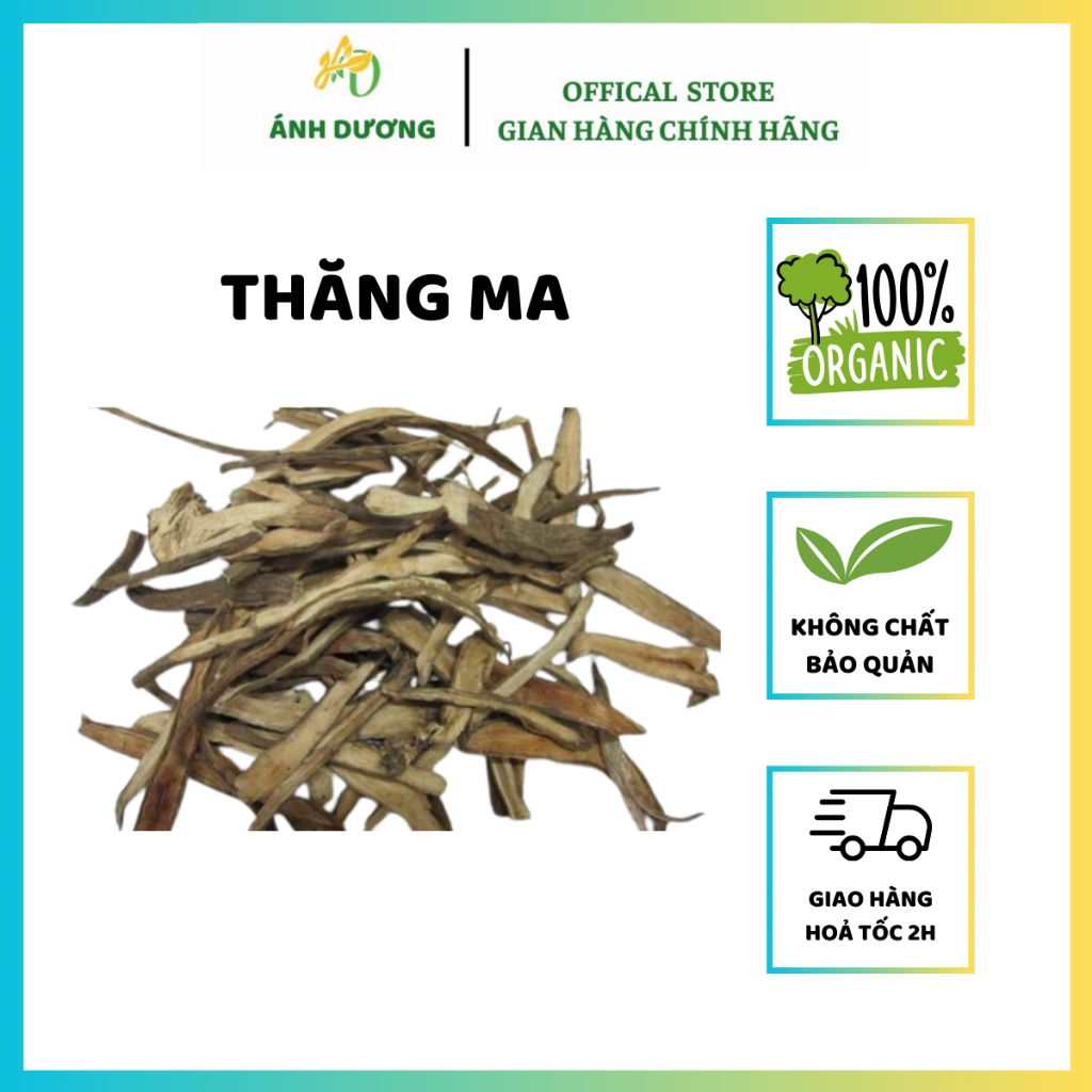 Thăng Ma ( Khô, Sạch, Đẹp ) Hàng Loại 1